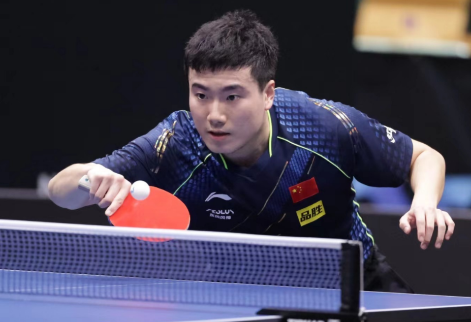 迅速建立了 迅速建立了