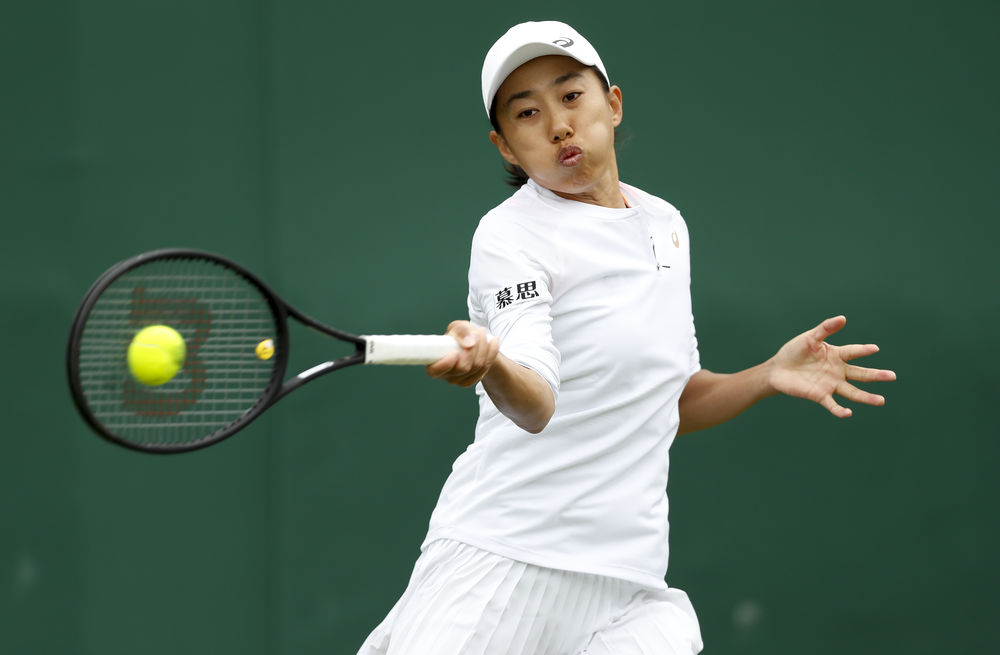 家战略的重 家战略的重